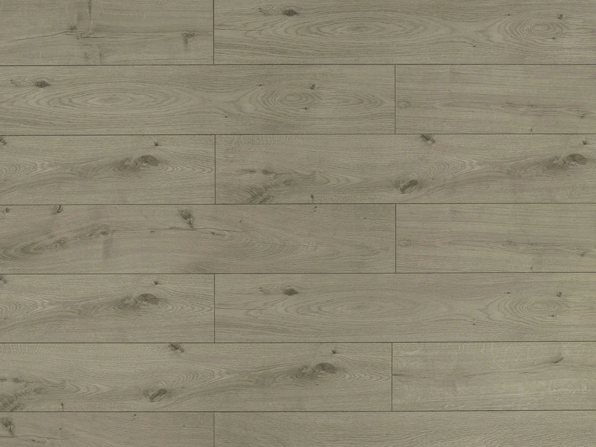 TF 6019 — St. Laurent — Triforest (Toucan) laminate flooring at BBS Flooring Markham