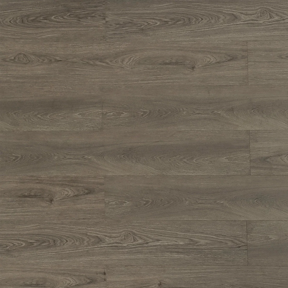 BBS Flooring TF 8302 — Beaver — Triforest TF8302 in Markham, Toronto, Durham