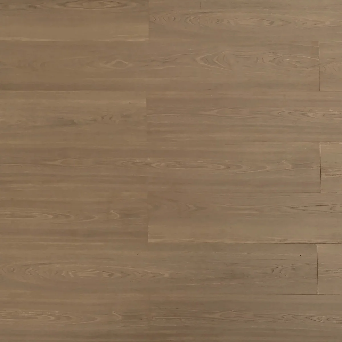 BBS Flooring TF 8309 — Grizzly — Triforest TF8309 in Markham, Toronto, Durham