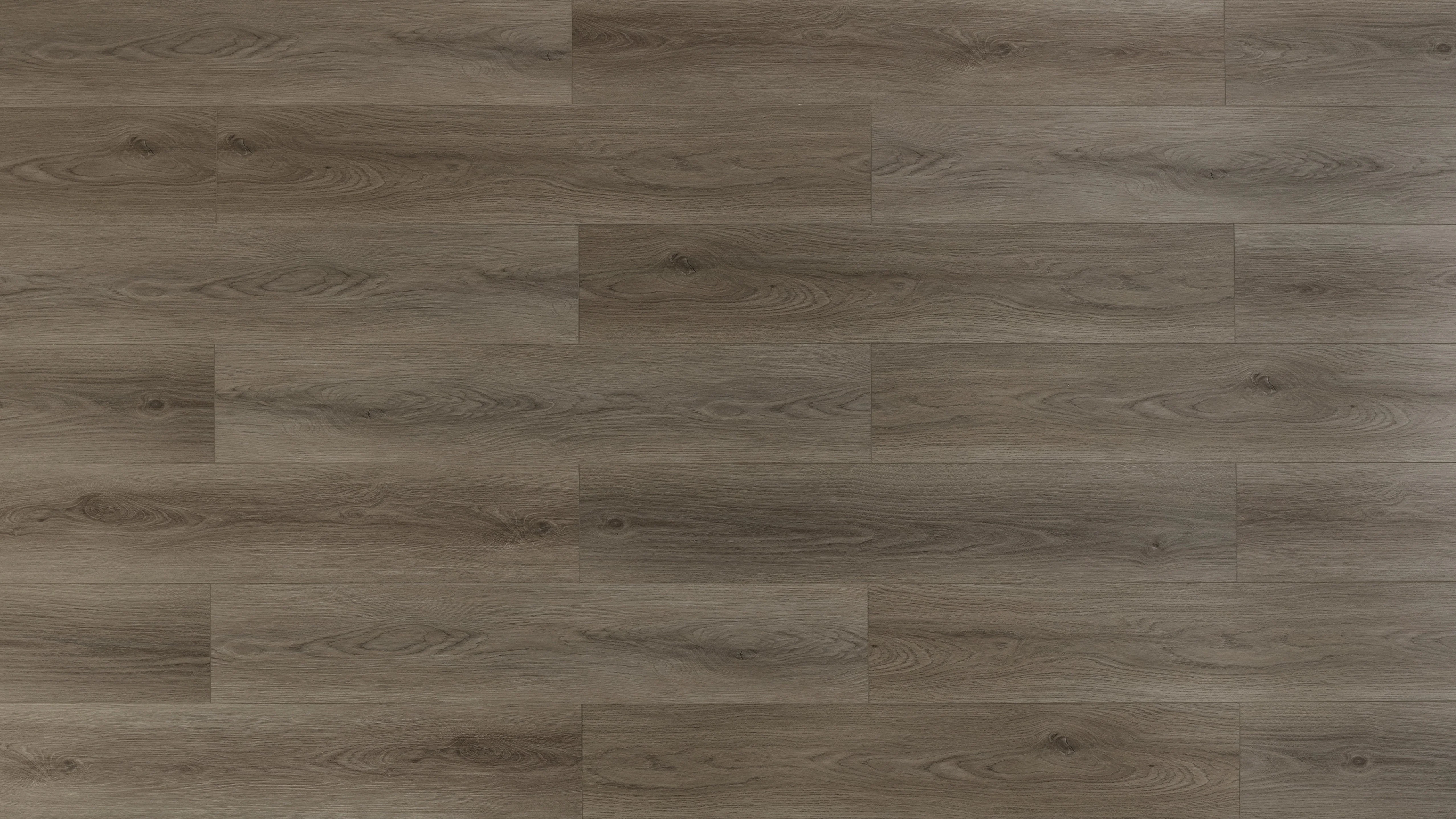 BBS Flooring TF SPC 8603 — Rocky Trail — Triforest TFSPC8603 SPC vinyl in Markham, Toronto, Durham