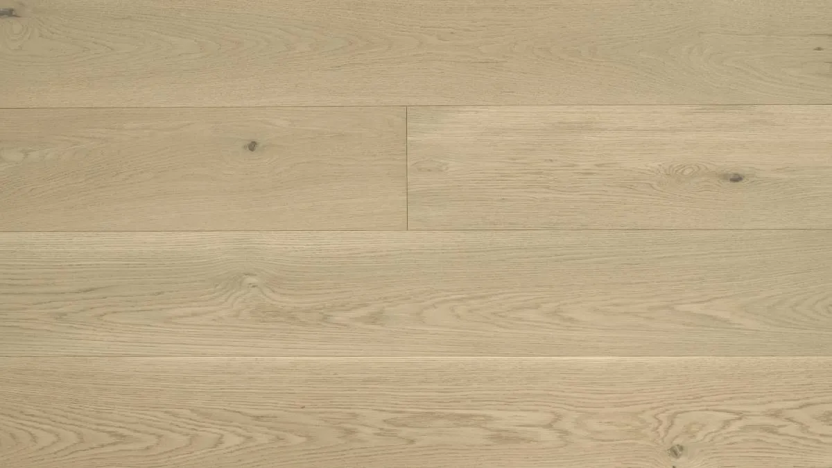 Daisy - 9 Character (ABCD)